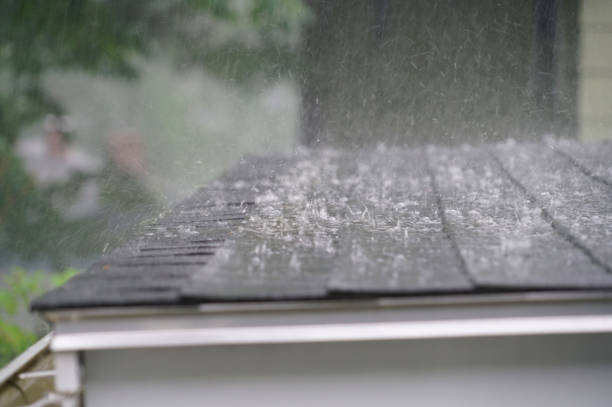 Best Asphalt Shingle Roofing  in Crow Agency, MT